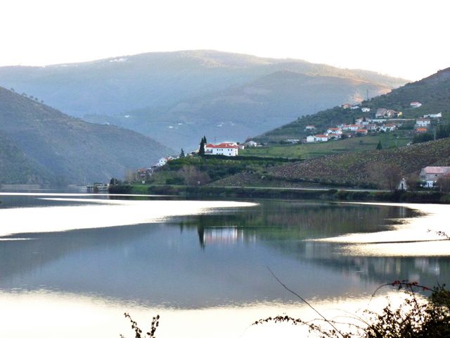 Herdade
